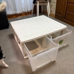 2連衣装ケースの画像