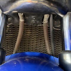 Kawasaki　ZZR1100　D型　車検たっぷり　タイヤ前後新品交換済み　ヘッドライトLED仕様　乗って帰れますの画像