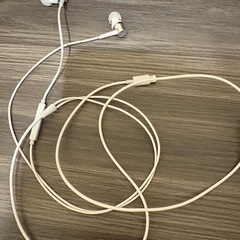  イヤホン（iPhone iPad用Lightning） の画像