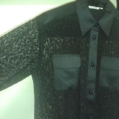 シースルージャケット 11号の画像