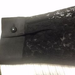 シースルージャケット 11号の画像