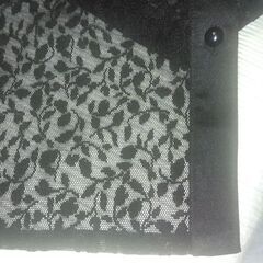 シースルージャケット 11号の画像