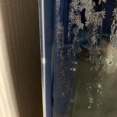 熱帯魚　大型水槽セット　予約受付　の画像