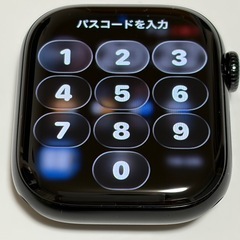 Apple series11 42㎜ GPSモデル マグネティックリンク S/Mの画像