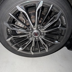 レイズ　ベルサス　トリアイナ　18インチの画像