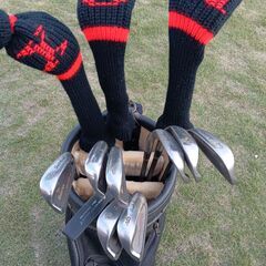 ゴルフクラブのフルセットを使って下さる方に売りますの画像