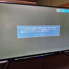 グリーンハウス49型液晶テレビ GH-TV49RSの画像