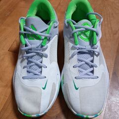 ナイキエアーフリーク4の画像