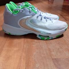 ナイキエアーフリーク4の画像