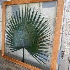 【レア＊限定品】jardin pamplemousse 植物アート 木製フレームの画像