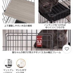 キャットゲージの画像