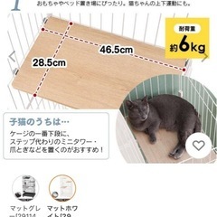 キャットゲージの画像