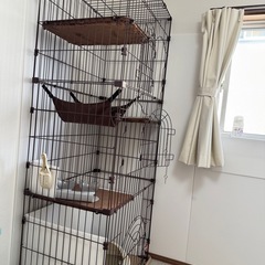 キャットゲージ3段の画像