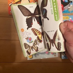 小さな図鑑　幼稚園の画像