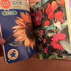 小さな図鑑　幼稚園の画像