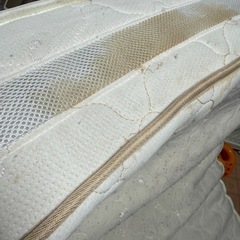 応募は本日まで【差し上げます】ダブル　マットレスの画像