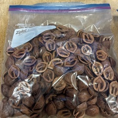 松ぼっくり　クルミ　オーナメント　クリスマス　リース　材料の画像