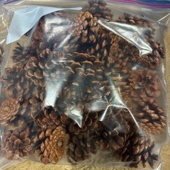 松ぼっくり　クルミ　オーナメント　クリスマス　リース　材料の画像