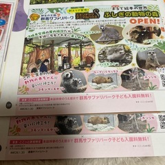 群馬サファリパーク こども入園無料券 中学生までの子供3名まで無料の画像