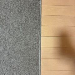 【11/14(金) or 15(土) 引取限定】ラグ / カーペット (約178×263cm) 滑り止めマット付の画像