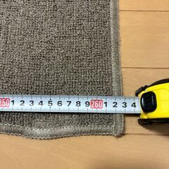 【11/14(金) or 15(土) 引取限定】ラグ / カーペット (約178×263cm) 滑り止めマット付の画像