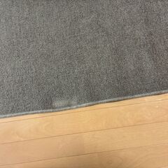 【11/14(金) or 15(土) 引取限定】ラグ / カーペット (約178×263cm) 滑り止めマット付の画像