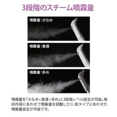 業務用エステスチーマーの画像