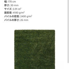 IKEAラグ （230cm×170cm/グリーン）の画像