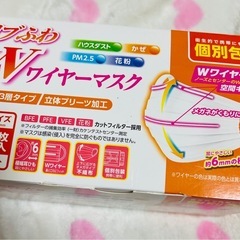 新品未使用👑リブふわ Wワイヤーマスク 40枚入り 他もマスク付きの画像