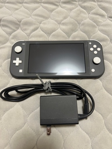 Nintendo switch lite 本体　充電器