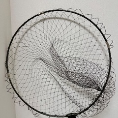 鮭、青物  タモの画像