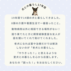無料！『老犬のためのおはなし会』オンライン開催♪の画像