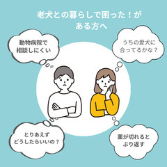 無料！『老犬のためのおはなし会』オンライン開催♪の画像
