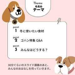 無料！『老犬のためのおはなし会』オンライン開催♪の画像
