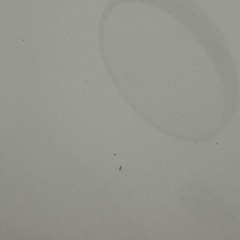 デスク ホワイト ウッド  の画像