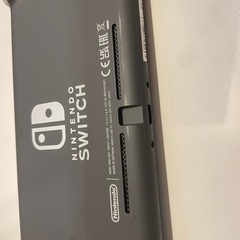 スイッチライトの画像