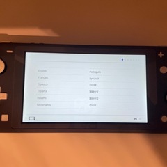 スイッチライトの画像