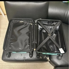 ハンギョドン キャリーケースの画像