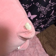 ポケモン ヤドン ぬいぐるみの画像