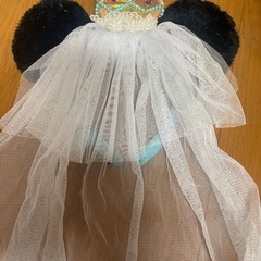 ディズニーカチューシャの画像