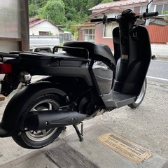 ホンダ　ベンリィ50の画像