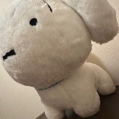 しろのぬいぐるみの画像