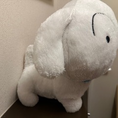 しろのぬいぐるみの画像