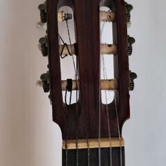 ゼンオン ギターの画像