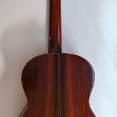 ゼンオン ギターの画像