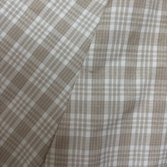 スカートの画像