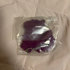 煉獄杏寿郎、時透無一郎の画像