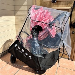 エアバギーの画像