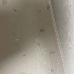 doridori ペットフロアマット2枚セットの画像