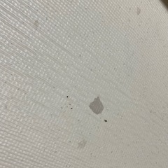 doridori ペットフロアマット2枚セットの画像